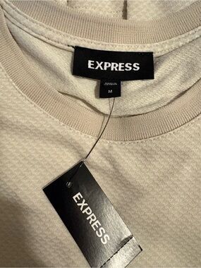 Express Men’s Crewneck Sweater in Light Taupe